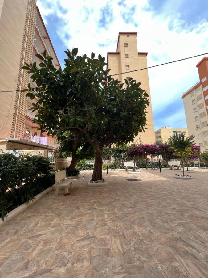 Ap Cande Playa De Gandia Exterior photo
